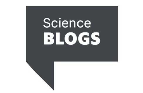 The “Dublin Trap”: Abandonment, Dispersal, and Reconfiguration of Solidarity along the Route