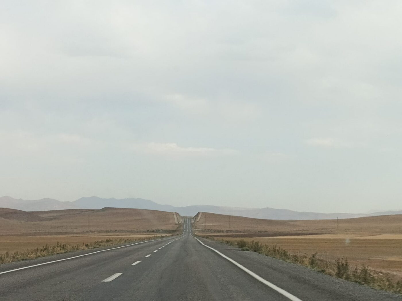 WhatsApp Image 2026-03-09 at 10.08.48