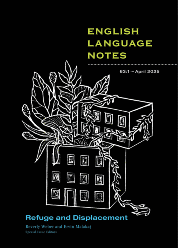Adaptive and Solidarity Counter-Maps for Individuals in Transit at the Ventimiglia Border