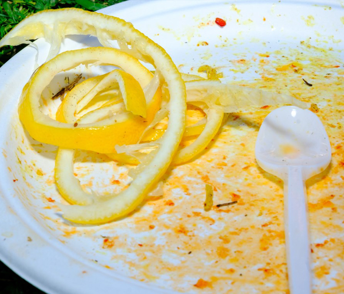 Leftovers from the first GNW. (Bulgaria, 2024).